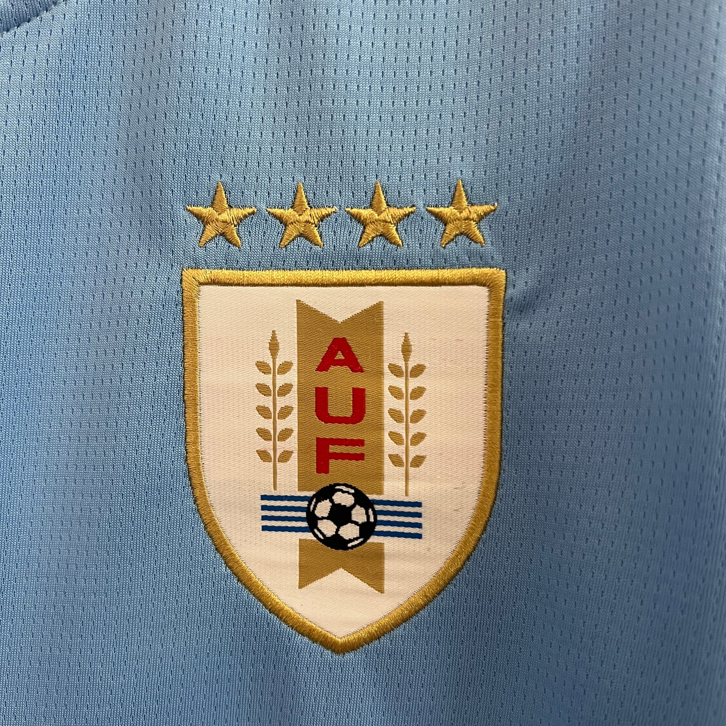 Uruguay Jersey 2024 S-XXL